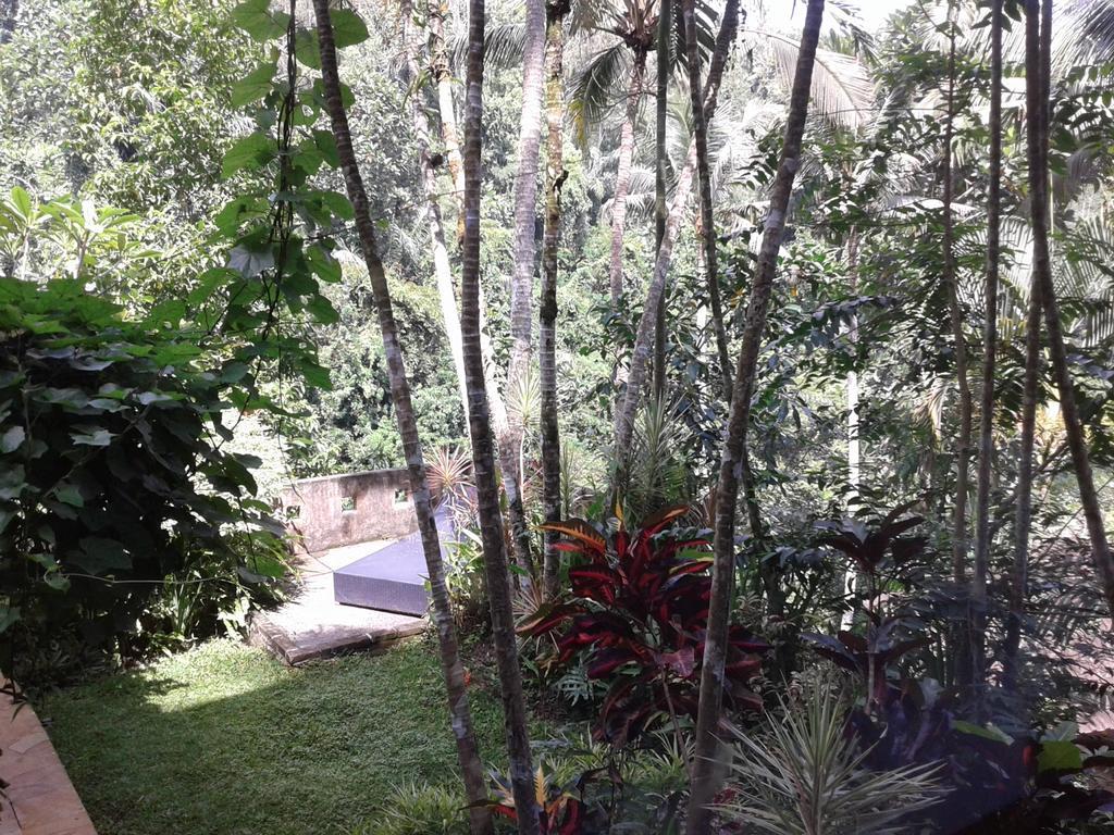Anahata Villas And Spa Resort Ubud  Luaran gambar
