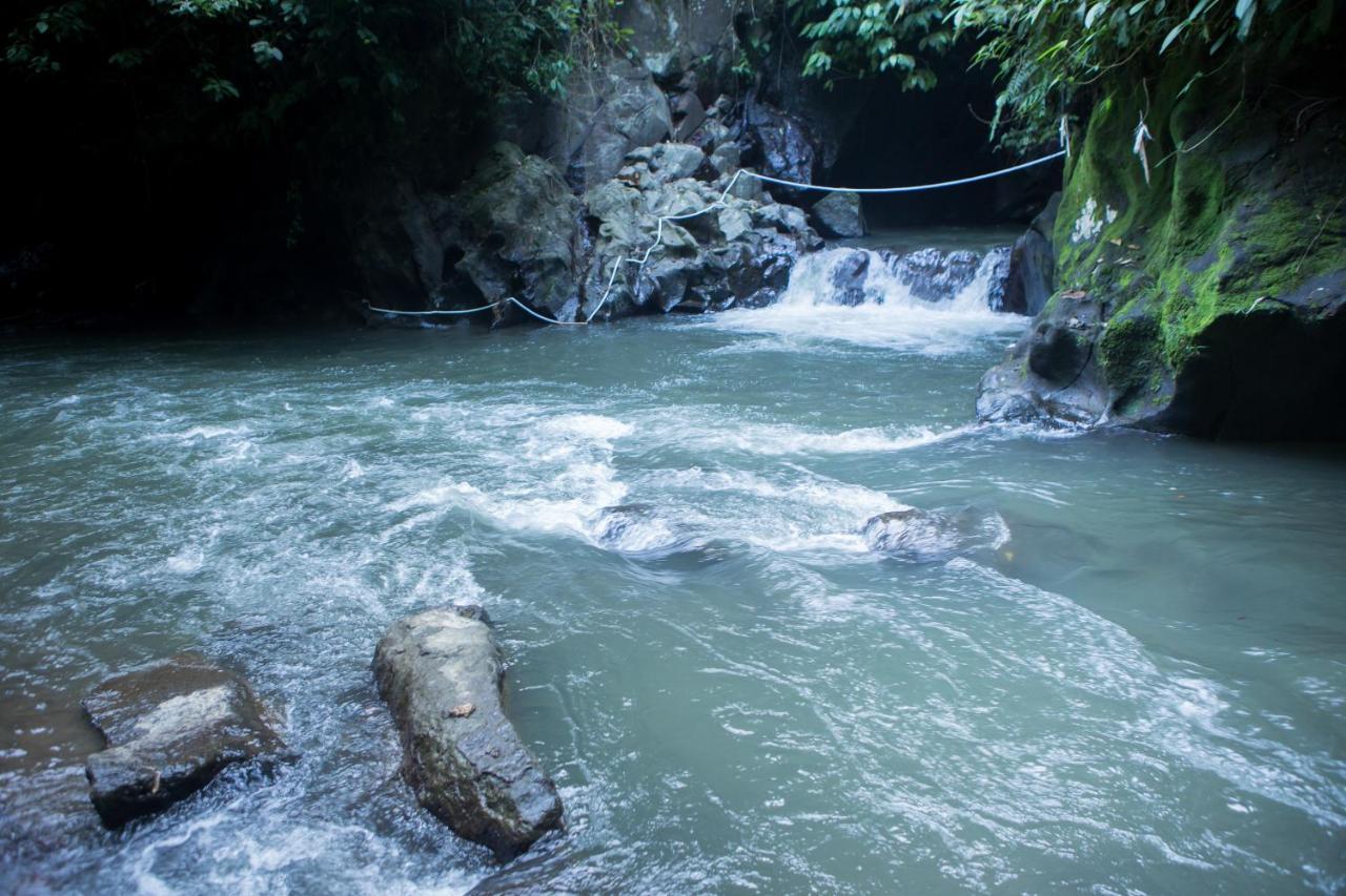 Anahata Villas And Spa Resort Ubud  Luaran gambar